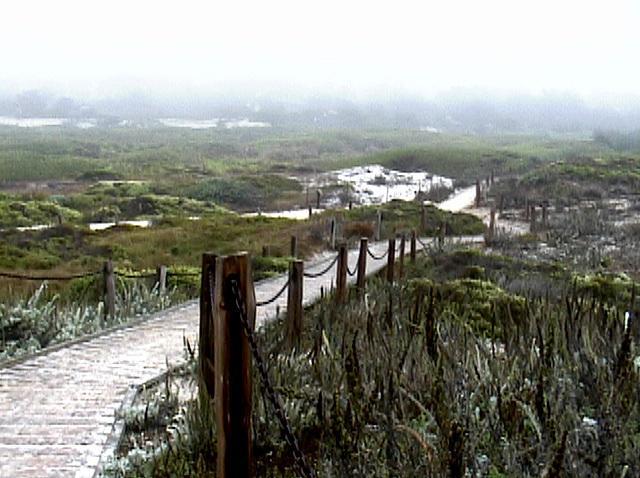 Beachcomber Inn Pacific Grove Bagian luar foto